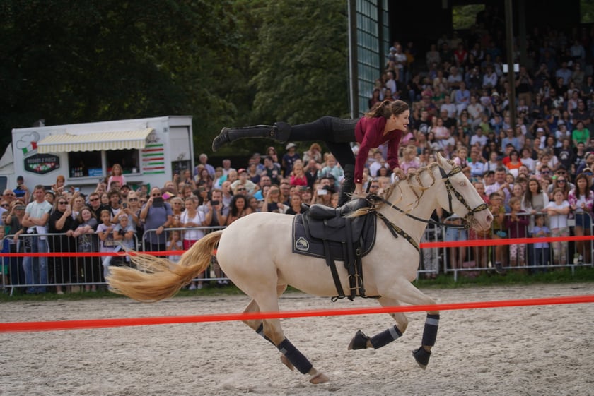 Wielka Wrocławska, gonitwa sezonu na Wrocławskim Torze Wyścigów Konnych Partynice