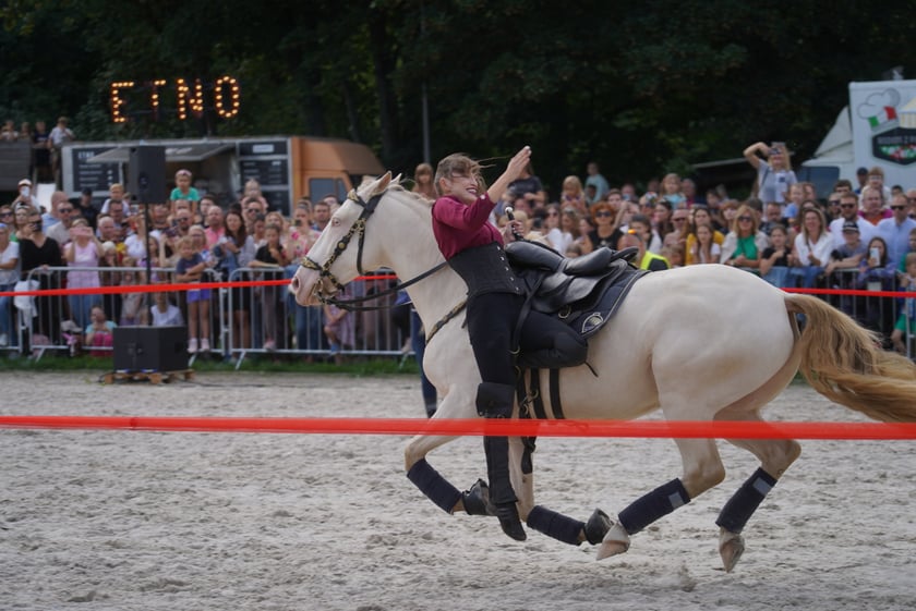 Wielka Wrocławska, gonitwa sezonu na Wrocławskim Torze Wyścigów Konnych Partynice