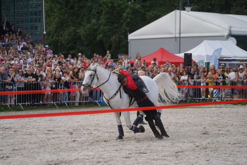 Wielka Wrocławska, gonitwa sezonu na Wrocławskim Torze Wyścigów Konnych Partynice
