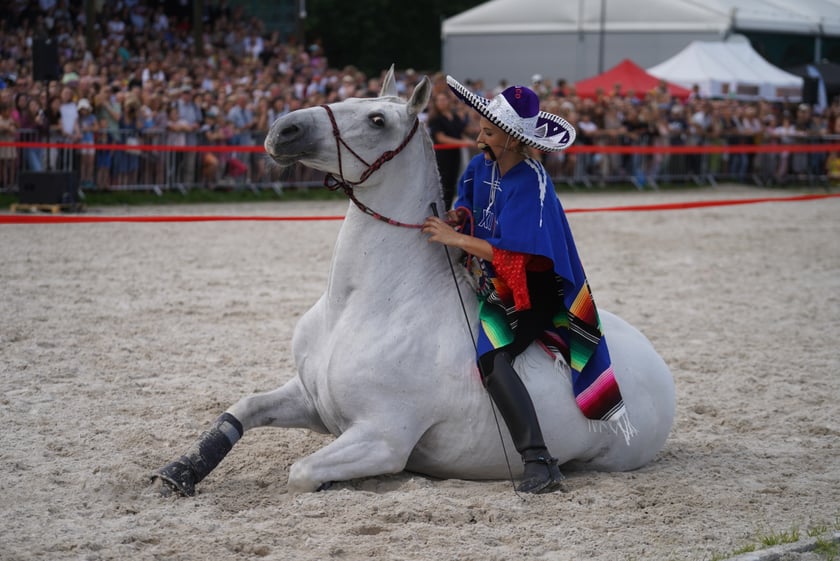 Wielka Wrocławska, gonitwa sezonu na Wrocławskim Torze Wyścigów Konnych Partynice