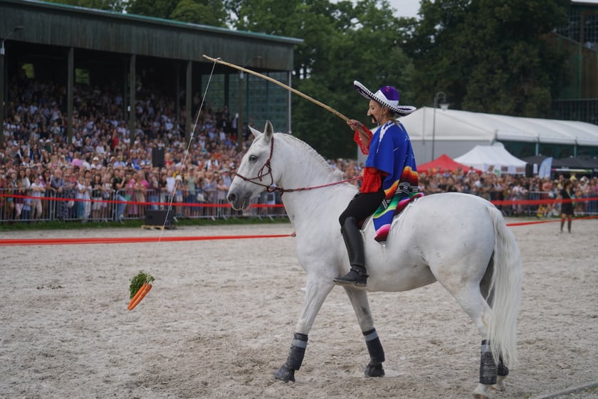 Wielka Wrocławska, gonitwa sezonu na Wrocławskim Torze Wyścigów Konnych Partynice