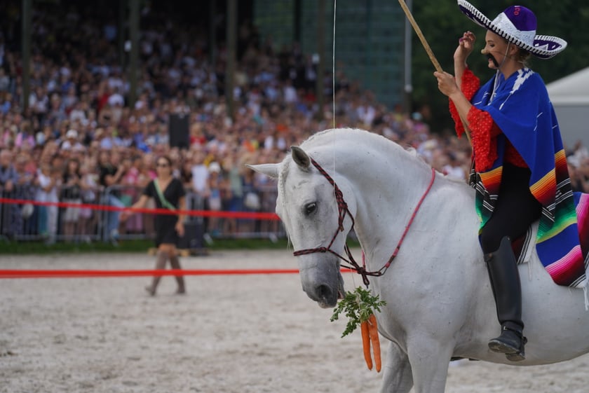 Wielka Wrocławska, gonitwa sezonu na Wrocławskim Torze Wyścigów Konnych Partynice