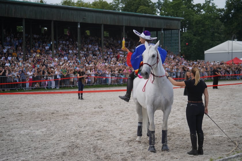 Wielka Wrocławska, gonitwa sezonu na Wrocławskim Torze Wyścigów Konnych Partynice