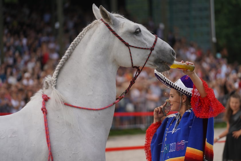 Wielka Wrocławska, gonitwa sezonu na Wrocławskim Torze Wyścigów Konnych Partynice