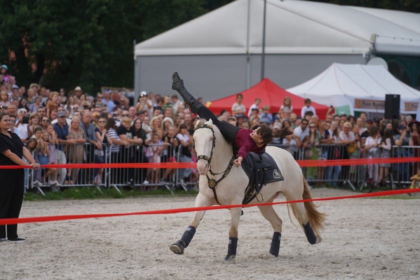 Wielka Wrocławska, gonitwa sezonu na Wrocławskim Torze Wyścigów Konnych Partynice