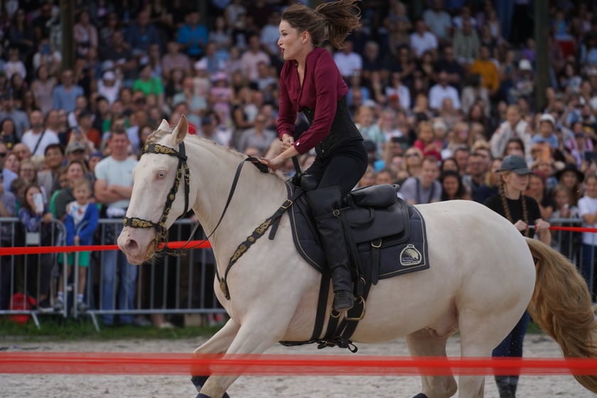 Wielka Wrocławska, gonitwa sezonu na Wrocławskim Torze Wyścigów Konnych Partynice