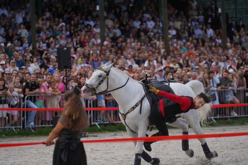 Wielka Wrocławska, gonitwa sezonu na Wrocławskim Torze Wyścigów Konnych Partynice