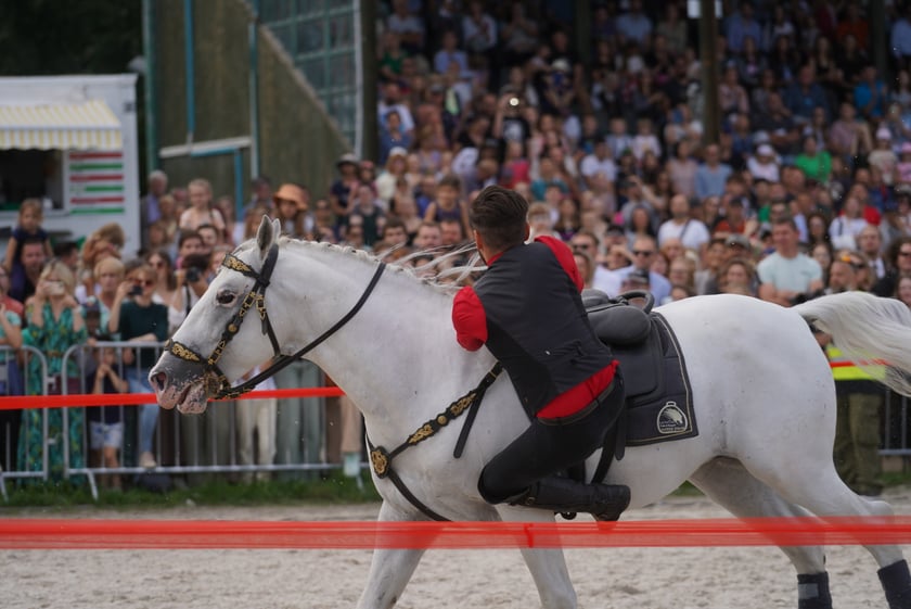 Wielka Wrocławska, gonitwa sezonu na Wrocławskim Torze Wyścigów Konnych Partynice