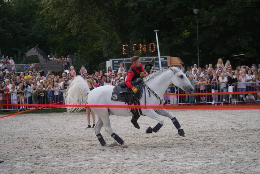 Wielka Wrocławska, gonitwa sezonu na Wrocławskim Torze Wyścigów Konnych Partynice