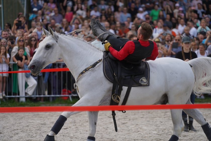 Wielka Wrocławska, gonitwa sezonu na Wrocławskim Torze Wyścigów Konnych Partynice