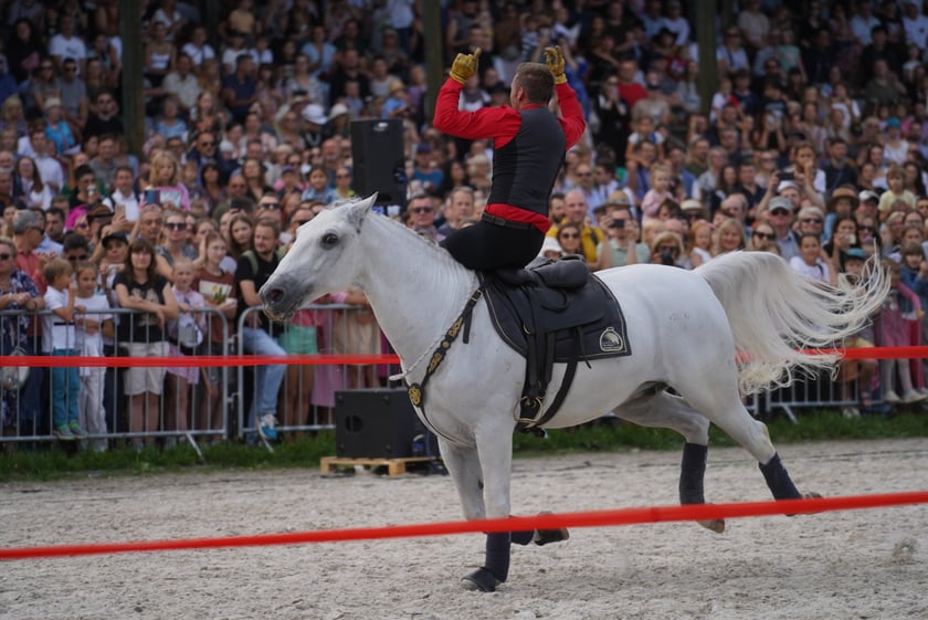 Wielka Wrocławska, gonitwa sezonu na Wrocławskim Torze Wyścigów Konnych Partynice