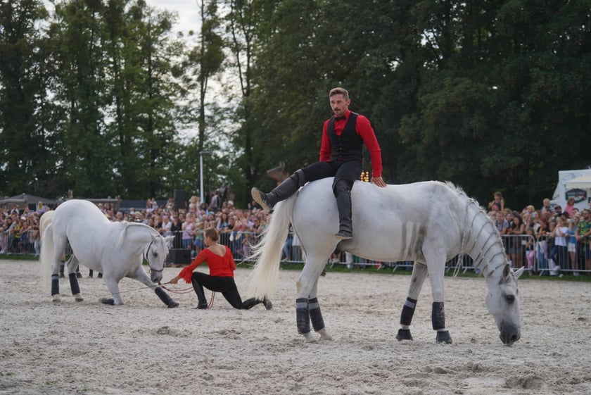 Wielka Wrocławska, gonitwa sezonu na Wrocławskim Torze Wyścigów Konnych Partynice