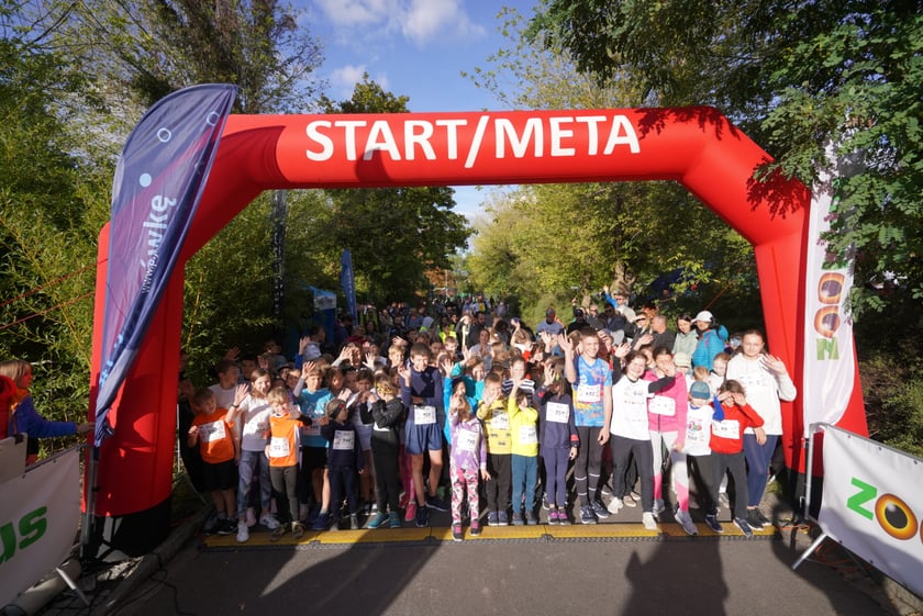 Wild Run 2023 we Wrocławiu.