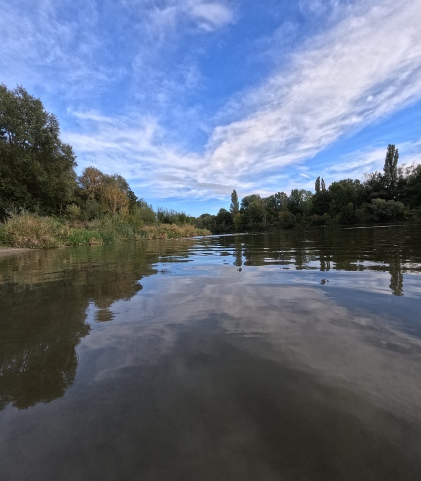 Wycieczka rowerowa z Zurychu do Wrocławia, Marcin Płachno