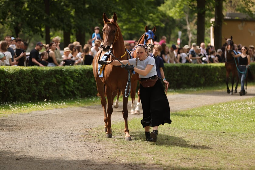 Majówka 2024 na Partynicach