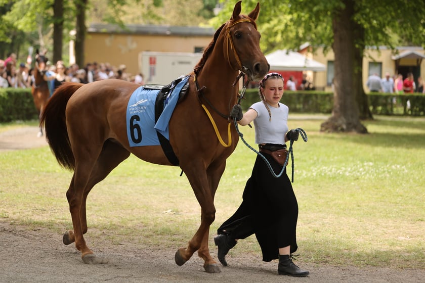 Majówka 2024 na Partynicach
