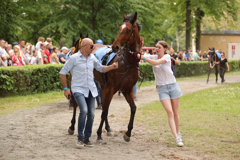 Majówka 2024 na Partynicach