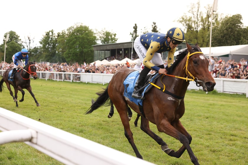 Majówka 2024 na Partynicach