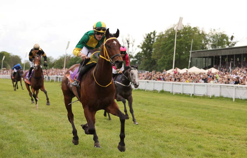 Majówka 2024 na Partynicach