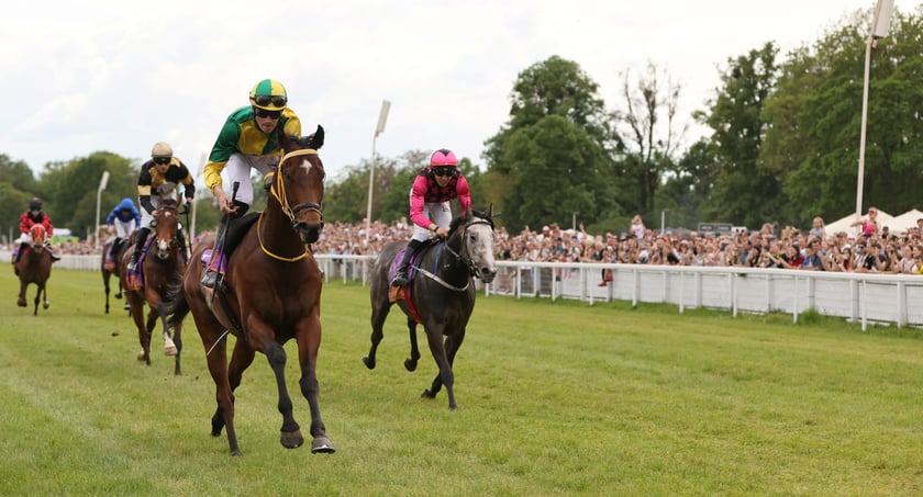 Majówka 2024 na Partynicach