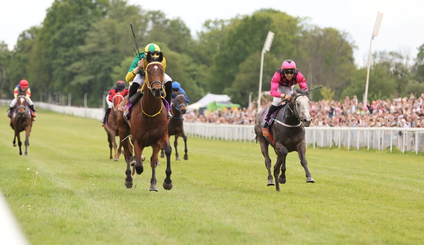 Majówka 2024 na Partynicach