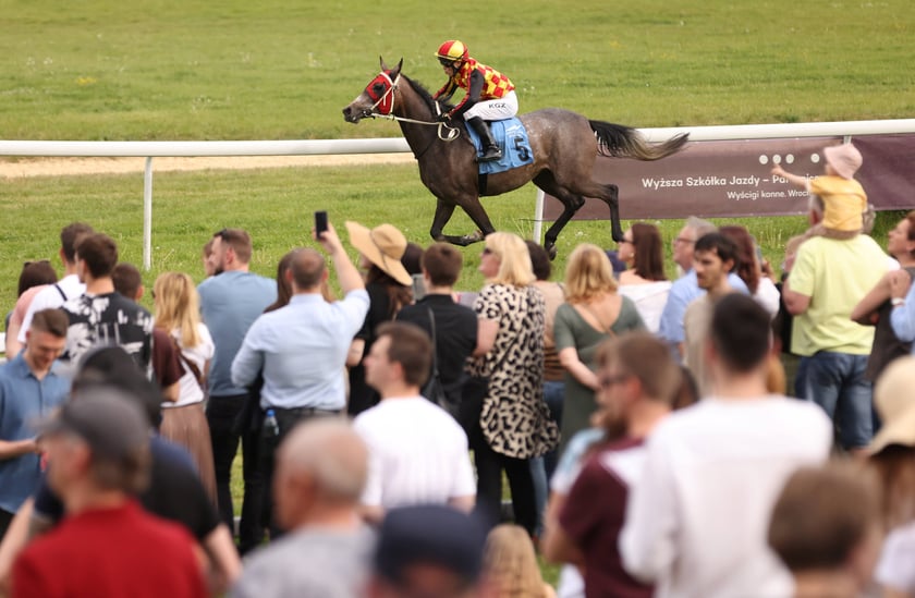 Majówka 2024 na Partynicach