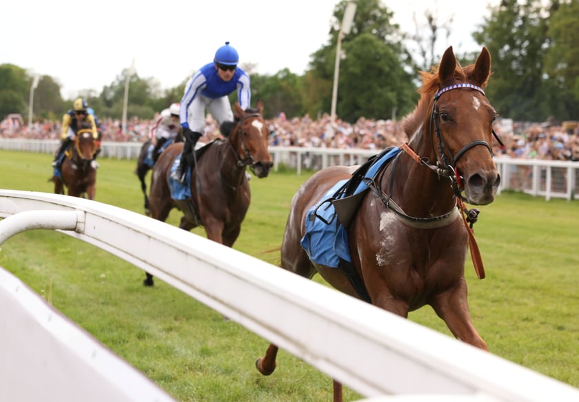 Majówka 2024 na Partynicach