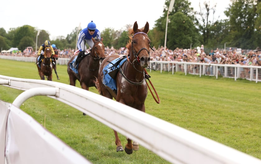 Majówka 2024 na Partynicach