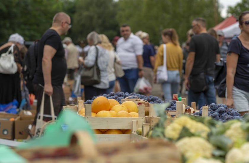 Targowisko na Młynie Sułkowice we Wrocławiu w każdą niedzielę przyciąga tłumy kupujących i sprzedających