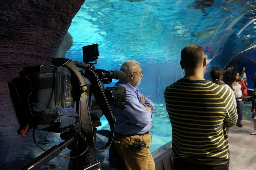 Budowa i otwarcie Afrykarium