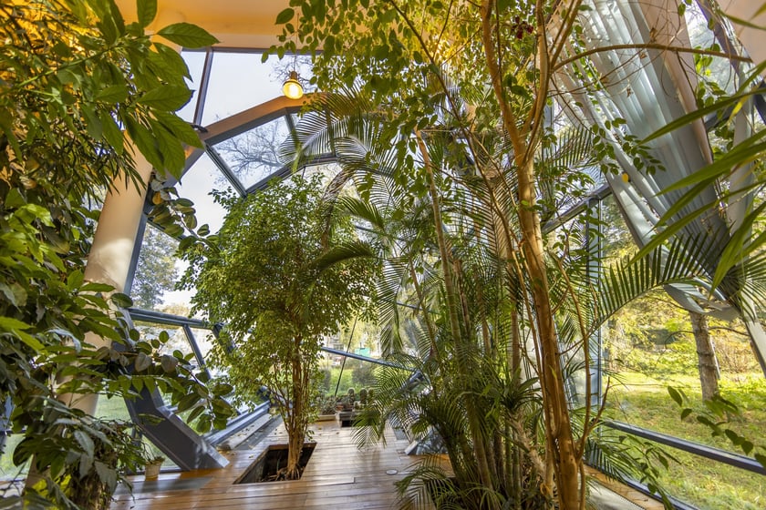 Herbarium. Muzeum Przyrodniczego Uniwersytetu Wrocławskiego