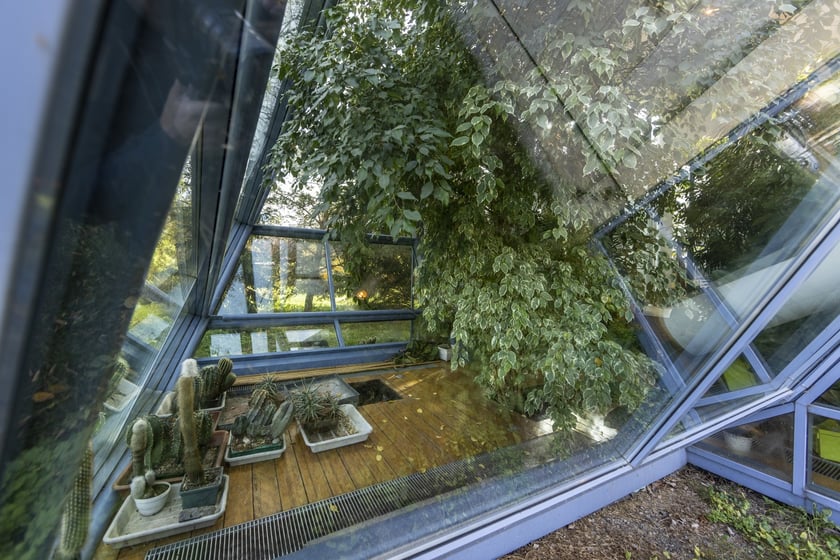 Herbarium. Muzeum Przyrodniczego Uniwersytetu Wrocławskiego