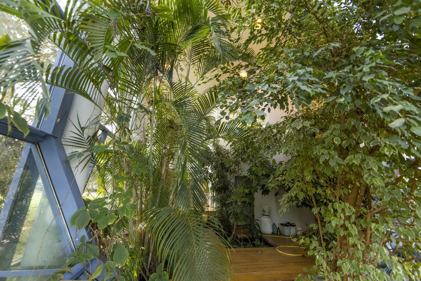 Herbarium. Muzeum Przyrodniczego Uniwersytetu Wrocławskiego