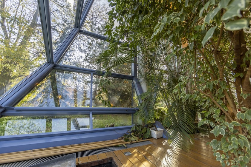 Herbarium. Muzeum Przyrodniczego Uniwersytetu Wrocławskiego