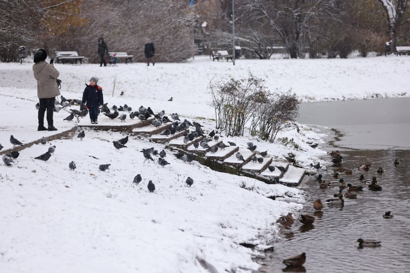 Zima zagościła we Wrocławiu. Właśnie spadł pierwszy śnieg...