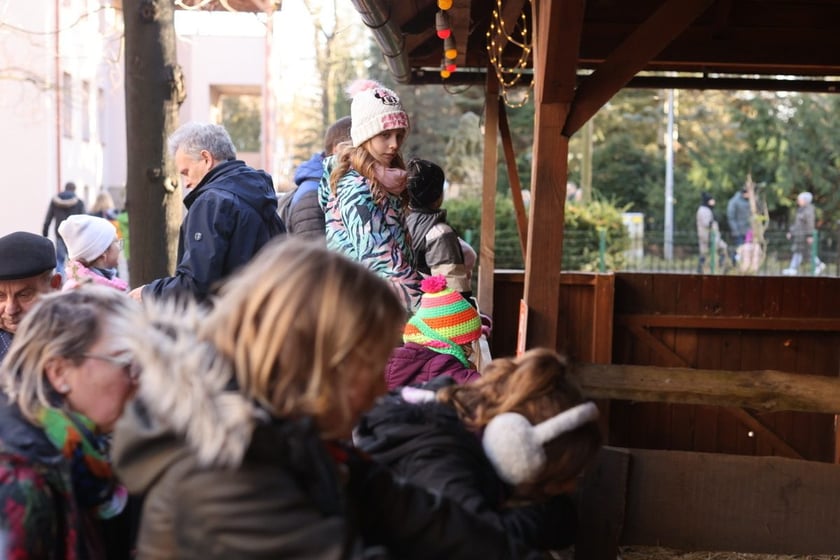 Żywa szopka ze zwierzętami na Wittigowie