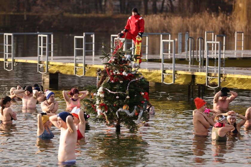 Morsy na Morskim Oku, 8 stycznia 2023