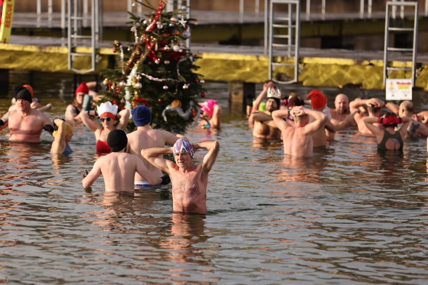 Morsy na Morskim Oku, 8 stycznia 2023