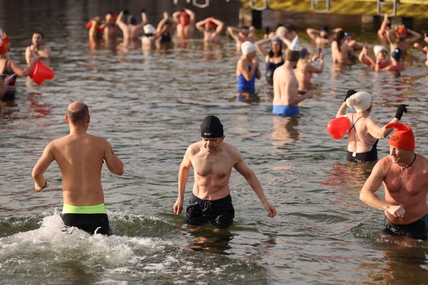 Morsy na Morskim Oku, 8 stycznia 2023