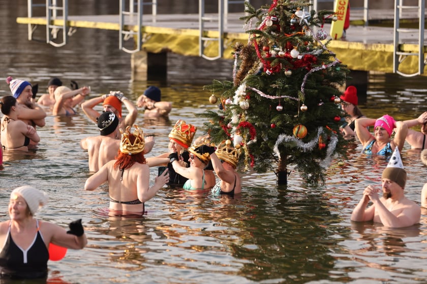 Morsy na Morskim Oku, 8 stycznia 2023