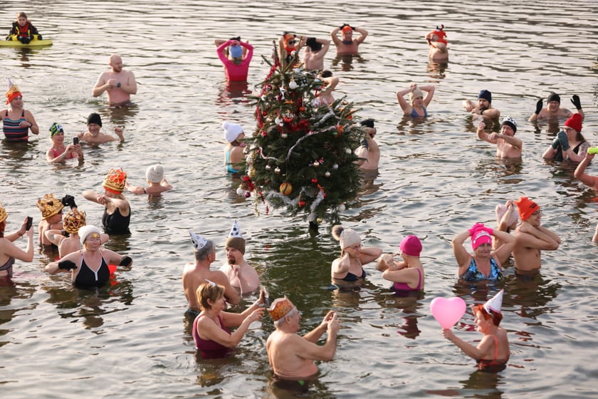 Morsy na Morskim Oku, 8 stycznia 2023