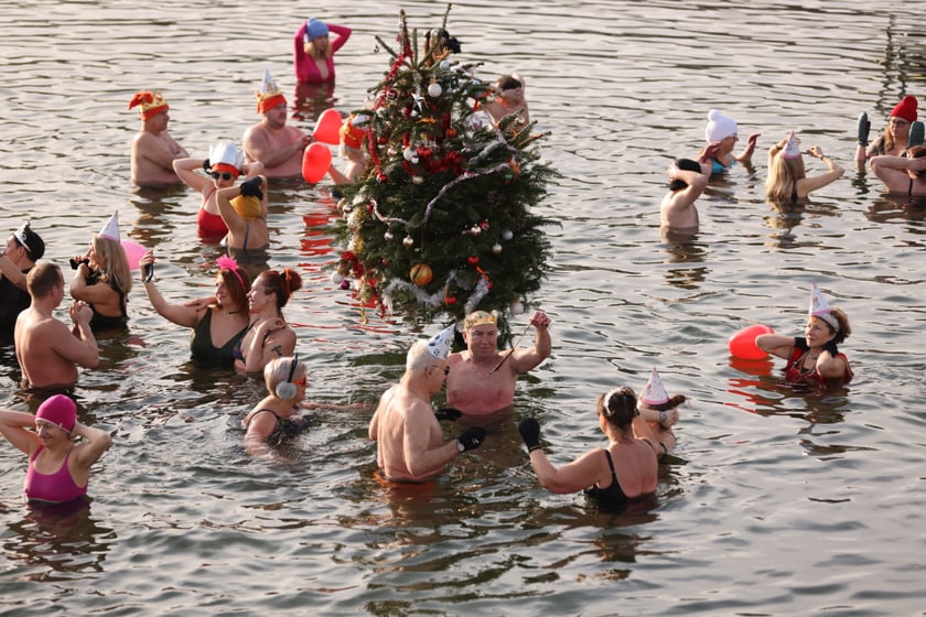 Morsy na Morskim Oku, 8 stycznia 2023