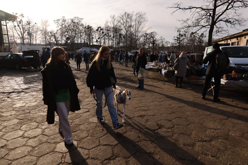 Targowisko na Młynie we Wrocławiu