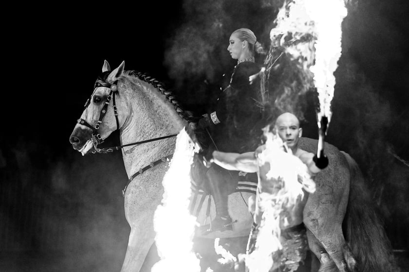 Zdjęcia Wiktora Rzeżuchowskiego, fotografa i  instruktora jazdy konnej