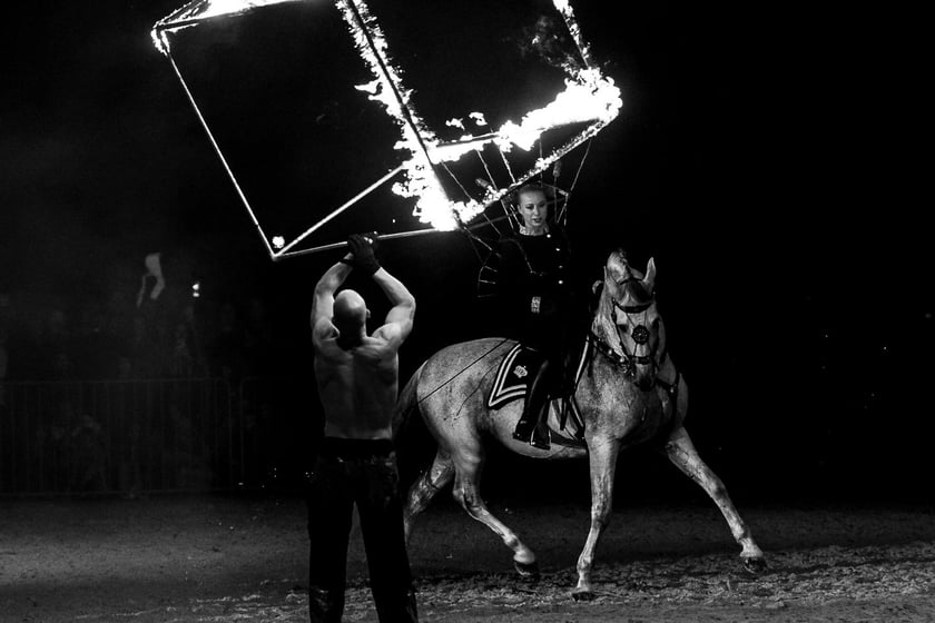 Zdjęcia Wiktora Rzeżuchowskiego, fotografa i  instruktora jazdy konnej