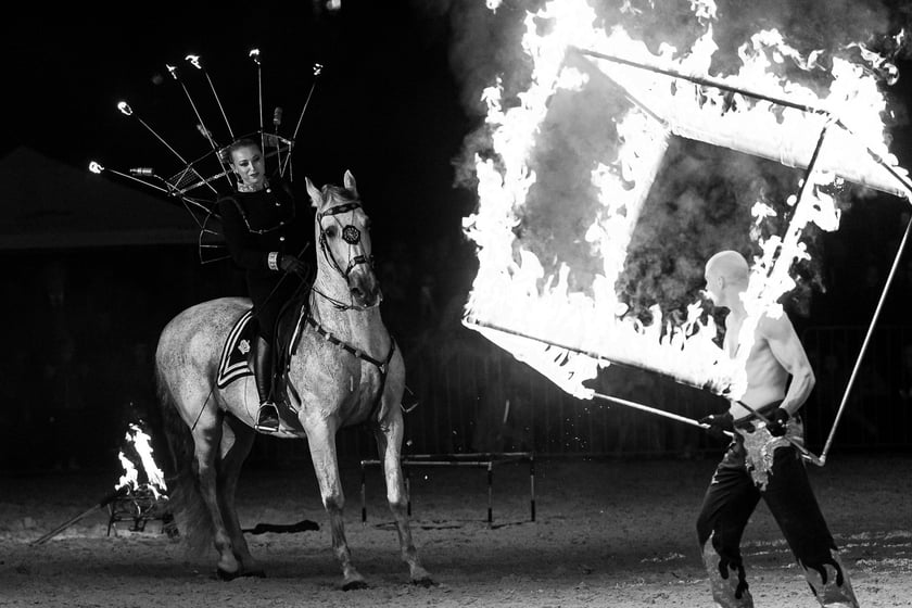 Zdjęcia Wiktora Rzeżuchowskiego, fotografa i  instruktora jazdy konnej