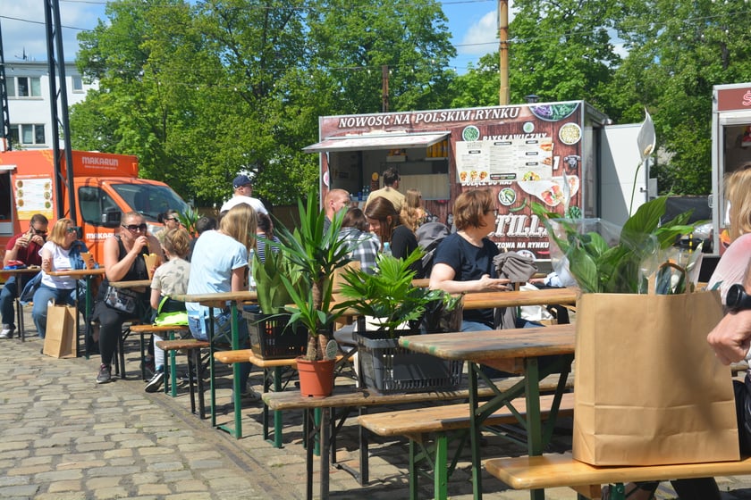 Festiwal Roślin i Festiwal Malarstwa w Czasoprzestrzeni
