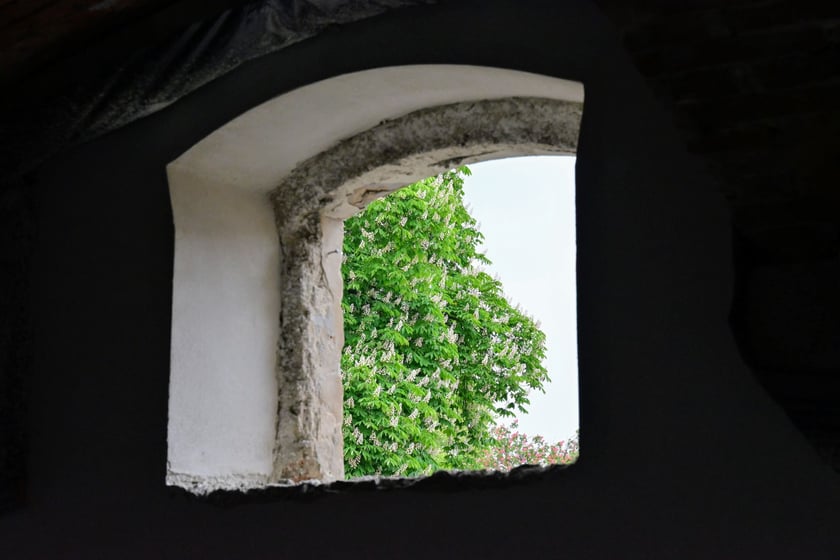 W przyszłym roku przyjdziemy to na kawę i może jakieś ciasto.