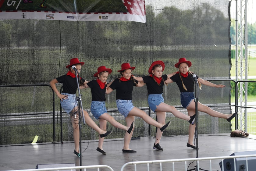 XI Piknik Olimpijski Wrocławia i Dolnego Śląska na Torze Wyścigów Konnych  - Partynice