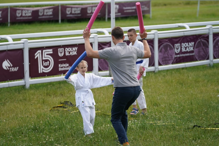 XI Piknik Olimpijski Wrocławia i Dolnego Śląska na Torze Wyścigów Konnych  - Partynice